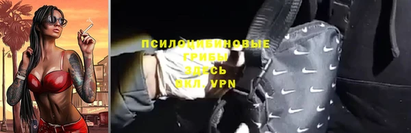 ГАЛЛЮЦИНОГЕННЫЕ ГРИБЫ Богородицк