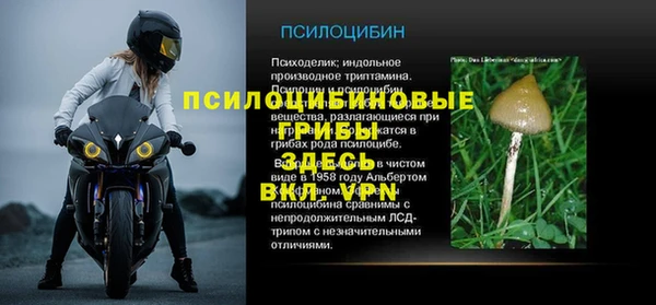каннабис Богданович